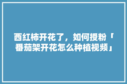西红柿开花了，如何授粉「番茄架开花怎么种植视频」