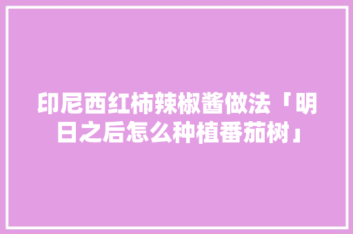 印尼西红柿辣椒酱做法「明日之后怎么种植番茄树」