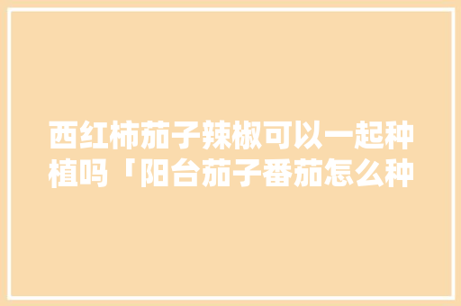 西红柿茄子辣椒可以一起种植吗「阳台茄子番茄怎么种植视频」