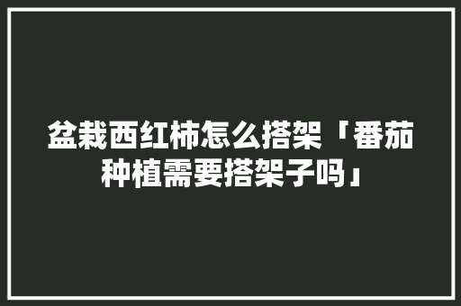 盆栽西红柿怎么搭架「番茄种植需要搭架子吗」 盆栽西红柿怎么搭架「番茄种植需要搭架子吗」 番茄病虫害防治