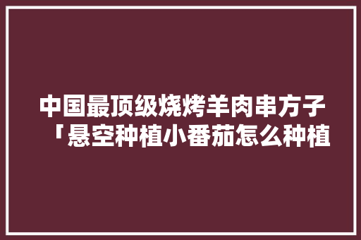 中国最顶级烧烤羊肉串方子「悬空种植小番茄怎么种植的」 中国最顶级烧烤羊肉串方子「悬空种植小番茄怎么种植的」 土壤施肥