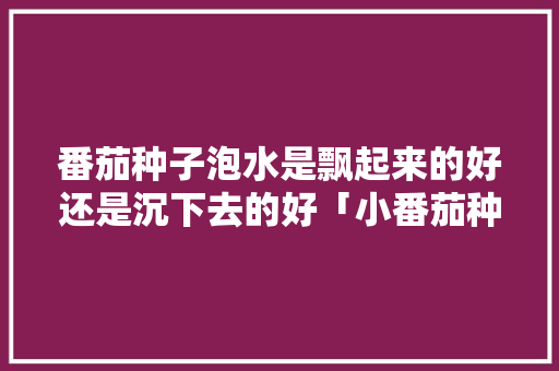 番茄种子泡水是飘起来的好还是沉下去的好「小番茄种子怎么泡水种植视频」