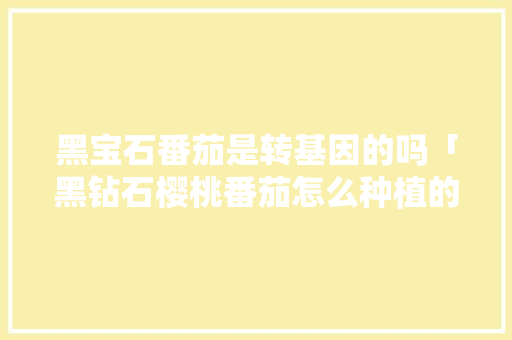 黑宝石番茄是转基因的吗「黑钻石樱桃番茄怎么种植的」