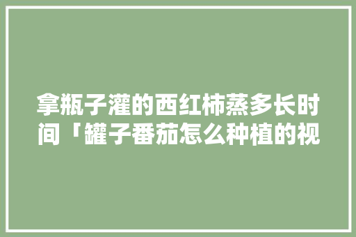 拿瓶子灌的西红柿蒸多长时间「罐子番茄怎么种植的视频」