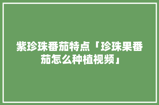 紫珍珠番茄特点「珍珠果番茄怎么种植视频」 紫珍珠番茄特点「珍珠果番茄怎么种植视频」 番茄种植技巧