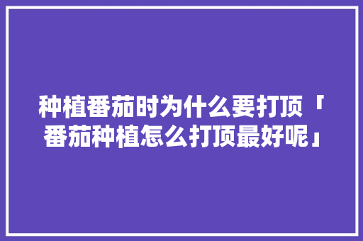 种植番茄时为什么要打顶「番茄种植怎么打顶最好呢」