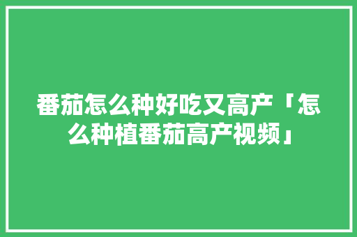 番茄怎么种好吃又高产「怎么种植番茄高产视频」 番茄怎么种好吃又高产「怎么种植番茄高产视频」 农业常识