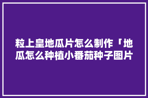 粒上皇地瓜片怎么制作「地瓜怎么种植小番茄种子图片」