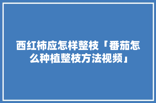 西红柿应怎样整枝「番茄怎么种植整枝方法视频」