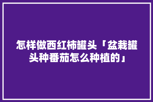 怎样做西红柿罐头「盆栽罐头种番茄怎么种植的」