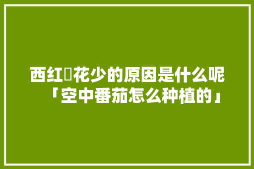 西红杮花少的原因是什么呢「空中番茄怎么种植的」