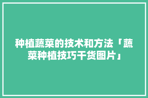 种植蔬菜的技术和方法「蔬菜种植技巧干货图片」 种植蔬菜的技术和方法「蔬菜种植技巧干货图片」 番茄种植技巧