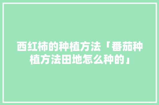 西红柿的种植方法「番茄种植方法田地怎么种的」