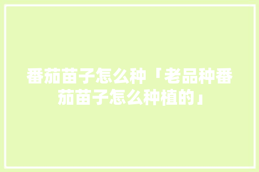 番茄苗子怎么种「老品种番茄苗子怎么种植的」 番茄苗子怎么种「老品种番茄苗子怎么种植的」 番茄种植技巧