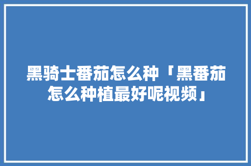 黑骑士番茄怎么种「黑番茄怎么种植最好呢视频」 黑骑士番茄怎么种「黑番茄怎么种植最好呢视频」 花朵知识