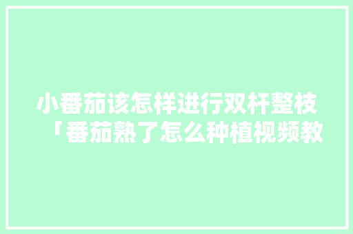 小番茄该怎样进行双杆整枝「番茄熟了怎么种植视频教程」 小番茄该怎样进行双杆整枝「番茄熟了怎么种植视频教程」 农业常识