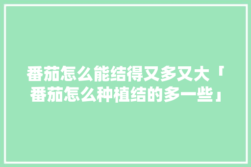番茄怎么能结得又多又大「番茄怎么种植结的多一些」 番茄怎么能结得又多又大「番茄怎么种植结的多一些」 农业常识