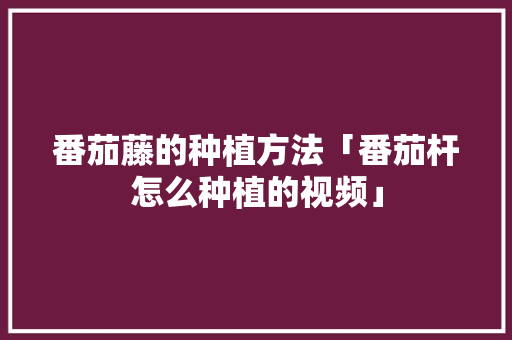 番茄藤的种植方法「番茄杆怎么种植的视频」 番茄藤的种植方法「番茄杆怎么种植的视频」 农业常识
