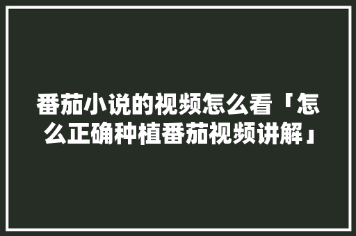 番茄小说的视频怎么看「怎么正确种植番茄视频讲解」 番茄小说的视频怎么看「怎么正确种植番茄视频讲解」 农业常识