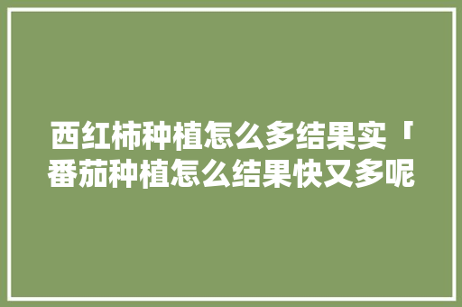 西红柿种植怎么多结果实「番茄种植怎么结果快又多呢」 西红柿种植怎么多结果实「番茄种植怎么结果快又多呢」 农业常识