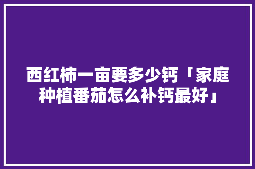 西红柿一亩要多少钙「家庭种植番茄怎么补钙最好」