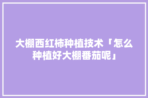 大棚西红柿种植技术「怎么种植好大棚番茄呢」 大棚西红柿种植技术「怎么种植好大棚番茄呢」 番茄病虫害防治