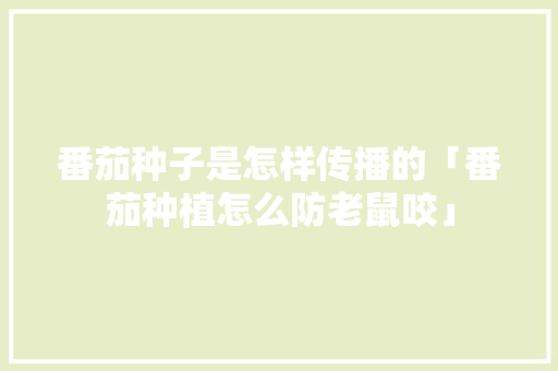 番茄种子是怎样传播的「番茄种植怎么防老鼠咬」 番茄种子是怎样传播的「番茄种植怎么防老鼠咬」 植物种类