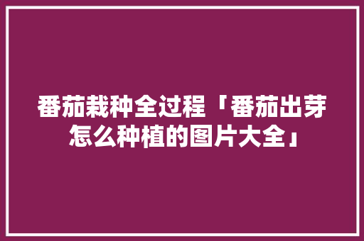 番茄栽种全过程「番茄出芽怎么种植的图片大全」 番茄栽种全过程「番茄出芽怎么种植的图片大全」 植物种类