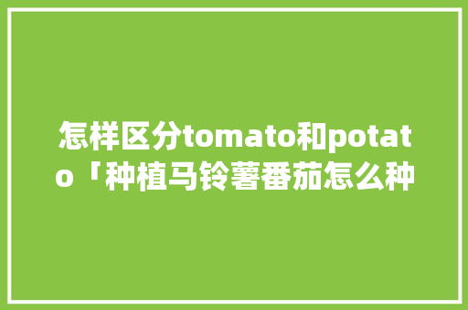 怎样区分tomato和potato「种植马铃薯番茄怎么种植」