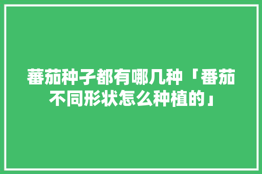 蕃茄种孑都有哪几种「番茄不同形状怎么种植的」 蕃茄种孑都有哪几种「番茄不同形状怎么种植的」 植物种类