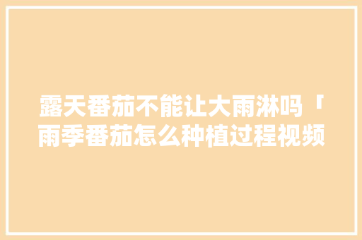 露天番茄不能让大雨淋吗「雨季番茄怎么种植过程视频」 露天番茄不能让大雨淋吗「雨季番茄怎么种植过程视频」 番茄种植技巧