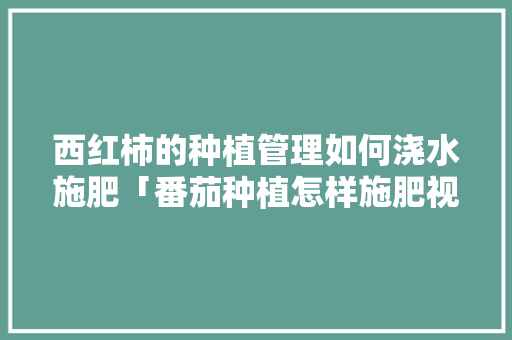 西红柿的种植管理如何浇水施肥「番茄种植怎样施肥视频」 西红柿的种植管理如何浇水施肥「番茄种植怎样施肥视频」 农业常识