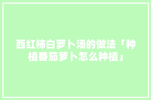 西红柿白萝卜汤的做法「种植番茄萝卜怎么种植」
