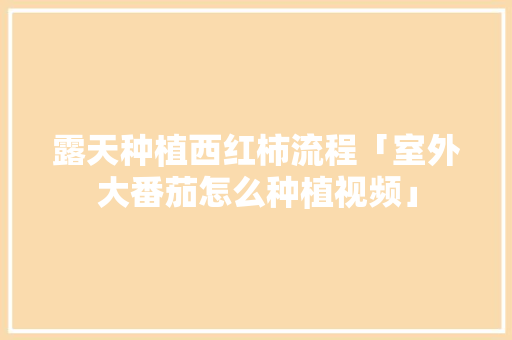 露天种植西红柿流程「室外大番茄怎么种植视频」 露天种植西红柿流程「室外大番茄怎么种植视频」 土壤施肥