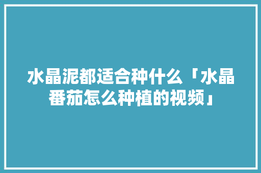 水晶泥都适合种什么「水晶番茄怎么种植的视频」