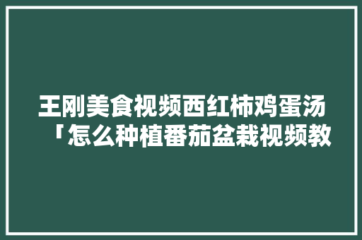 王刚美食视频西红柿鸡蛋汤「怎么种植番茄盆栽视频教程」 土壤施肥 王刚美食视频西红柿鸡蛋汤「怎么种植番茄盆栽视频教程」 王刚美食视频西红柿鸡蛋汤「怎么种植番茄盆栽视频教程」 土壤施肥