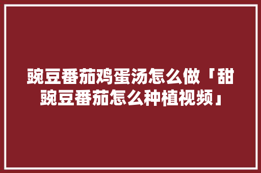 豌豆番茄鸡蛋汤怎么做「甜豌豆番茄怎么种植视频」 农业常识 豌豆番茄鸡蛋汤怎么做「甜豌豆番茄怎么种植视频」 豌豆番茄鸡蛋汤怎么做「甜豌豆番茄怎么种植视频」 农业常识