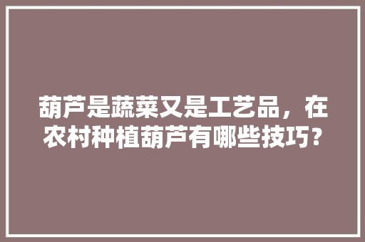 葫芦是蔬菜又是工艺品，在农村种植葫芦有哪些技巧？哪些注意事项「蔬菜种植技巧讲解图片」