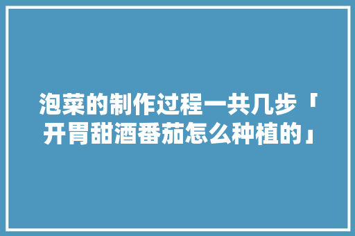 泡菜的制作过程一共几步「开胃甜酒番茄怎么种植的」