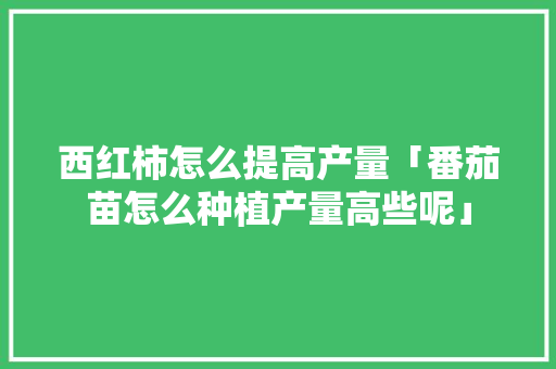 西红柿怎么提高产量「番茄苗怎么种植产量高些呢」 西红柿怎么提高产量「番茄苗怎么种植产量高些呢」 农业常识