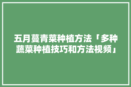 五月蔓青菜种植方法「多种蔬菜种植技巧和方法视频」 五月蔓青菜种植方法「多种蔬菜种植技巧和方法视频」 番茄种植技巧