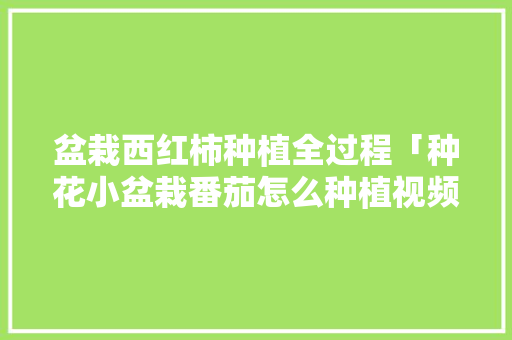盆栽西红柿种植全过程「种花小盆栽番茄怎么种植视频」 盆栽西红柿种植全过程「种花小盆栽番茄怎么种植视频」 番茄病虫害防治