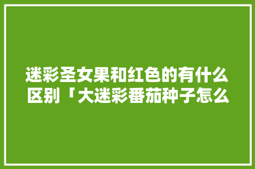 迷彩圣女果和红色的有什么区别「大迷彩番茄种子怎么种植的」 迷彩圣女果和红色的有什么区别「大迷彩番茄种子怎么种植的」 植物种类