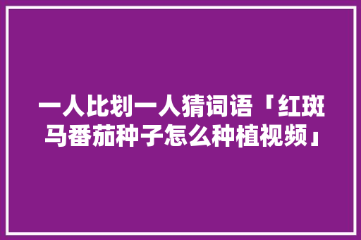 一人比划一人猜词语「红斑马番茄种子怎么种植视频」 一人比划一人猜词语「红斑马番茄种子怎么种植视频」 番茄种植技巧