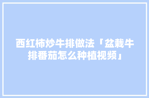 西红柿炒牛排做法「盆栽牛排番茄怎么种植视频」 西红柿炒牛排做法「盆栽牛排番茄怎么种植视频」 种植技巧