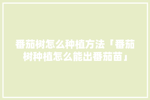 番茄树怎么种植方法「番茄树种植怎么能出番茄苗」 番茄病虫害防治 番茄树怎么种植方法「番茄树种植怎么能出番茄苗」 番茄树怎么种植方法「番茄树种植怎么能出番茄苗」 番茄病虫害防治