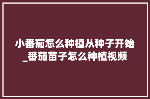 小番茄怎么种植从种子开始_番茄苗子怎么种植视频 小番茄怎么种植从种子开始_番茄苗子怎么种植视频 番茄种植技巧