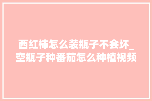 西红柿怎么装瓶子不会坏_空瓶子种番茄怎么种植视频