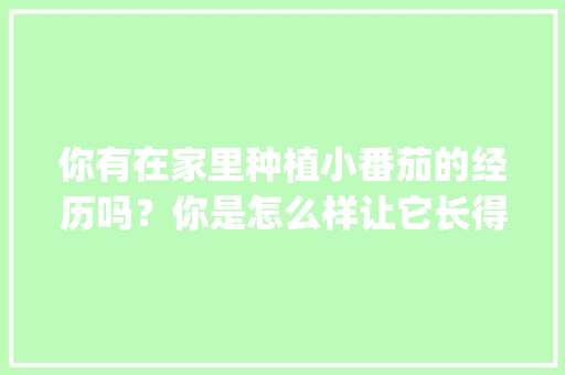 你有在家里种植小番茄的经历吗？你是怎么样让它长得更好的_番茄家庭怎么种植视频