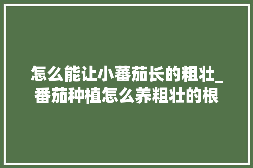 怎么能让小蕃茄长的粗壮_番茄种植怎么养粗壮的根
